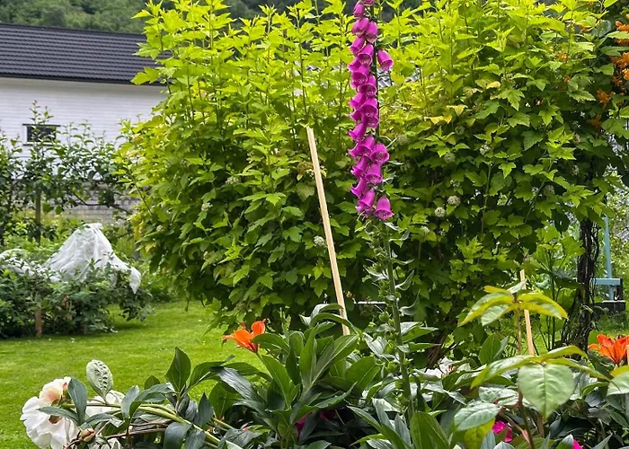 Tinyhouse With A Waterfall View Flåm